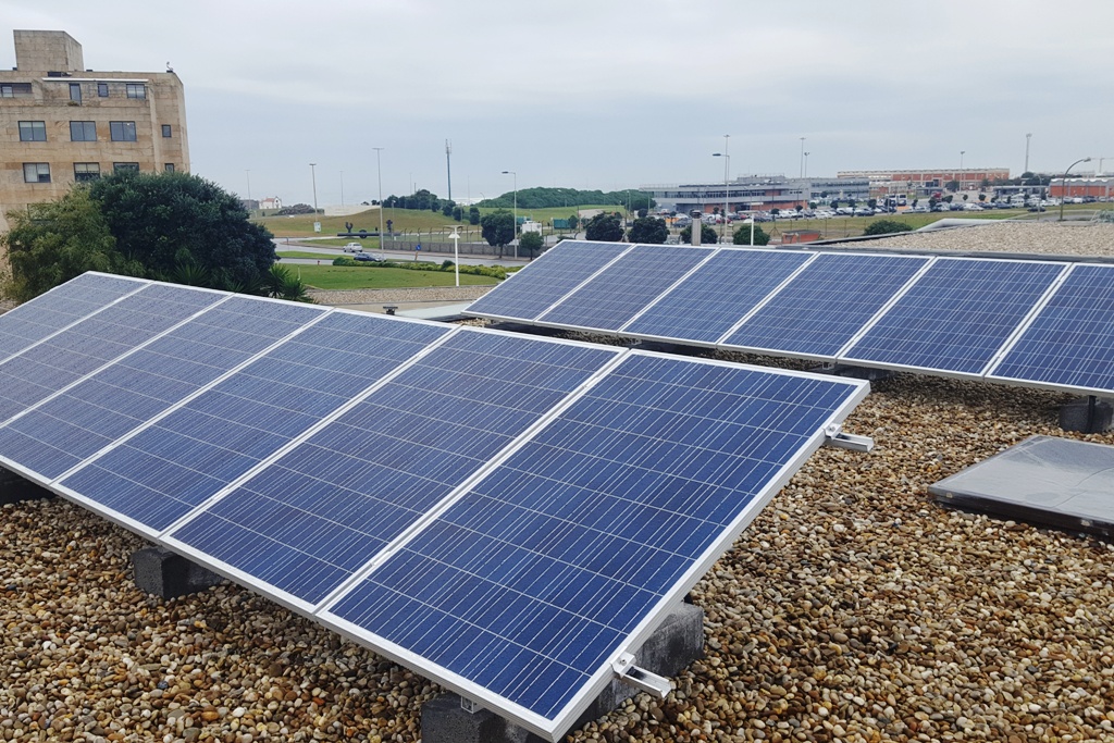 Moradia Le�a da Palmeira